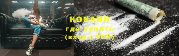 индика Вязьма