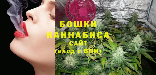 индика Вязьма