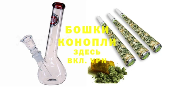 индика Вязьма