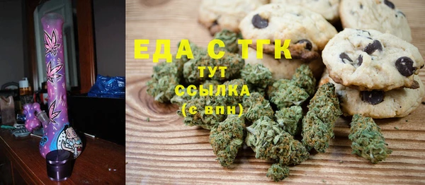 индика Вязьма