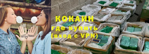 индика Вязьма