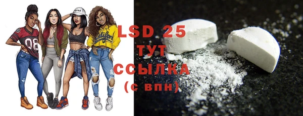 индика Вязьма
