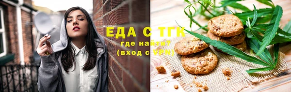 индика Вязьма